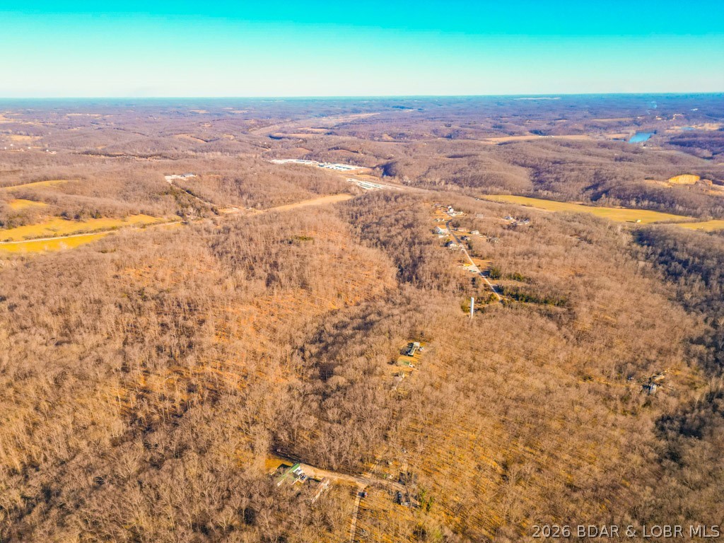 Oak Hill Forest - Land