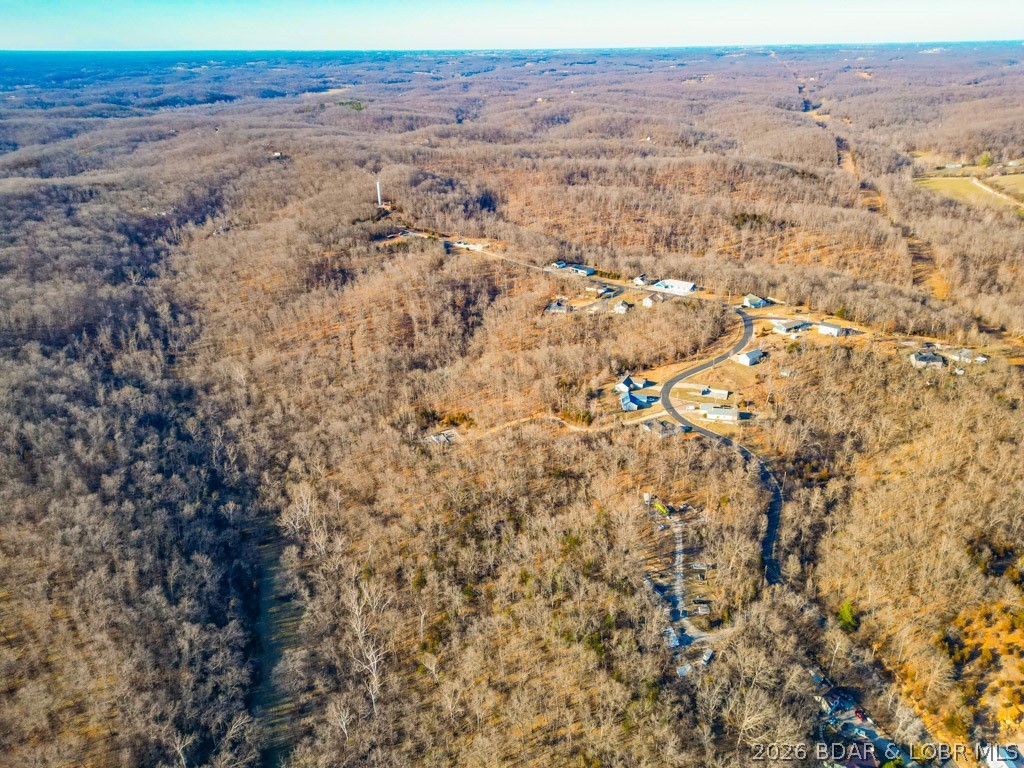 Oak Hill Forest - Land