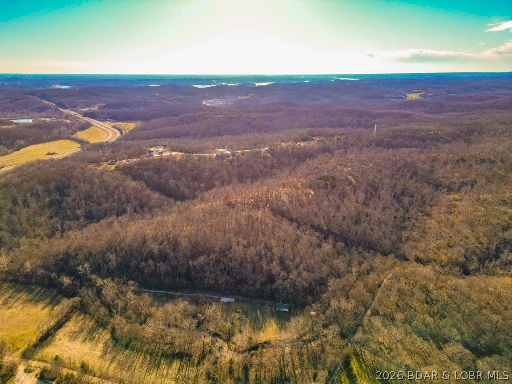 Oak Hill Forest - Land