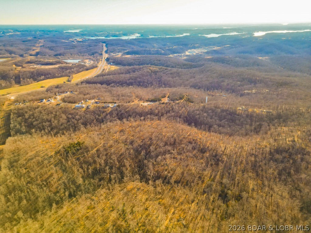 Oak Hill Forest - Land