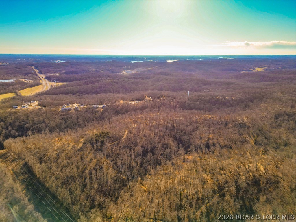 Oak Hill Forest - Land