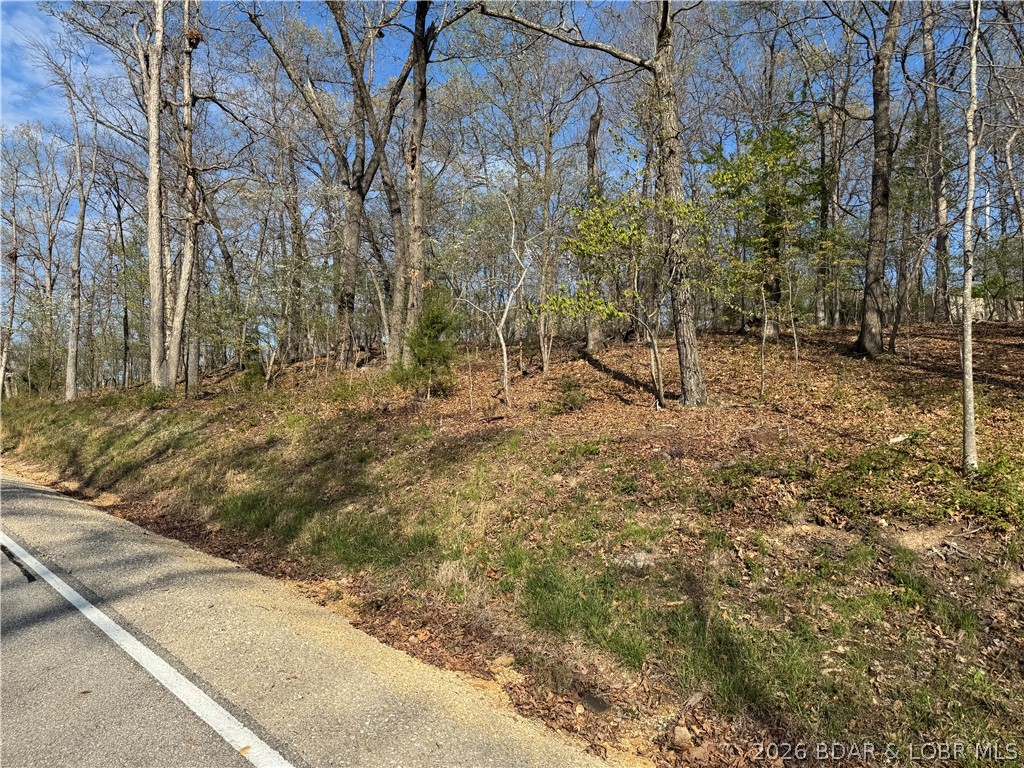 Cornett Cove No. 1 - Land