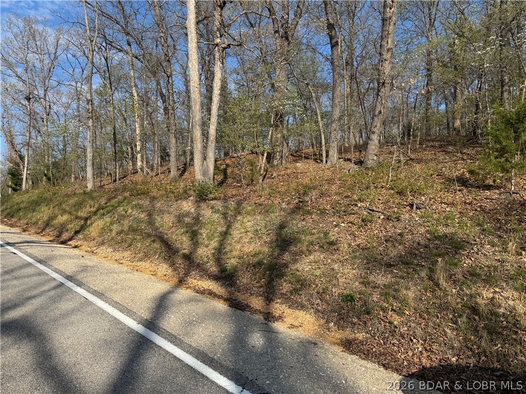 Cornett Cove No. 1 - Land