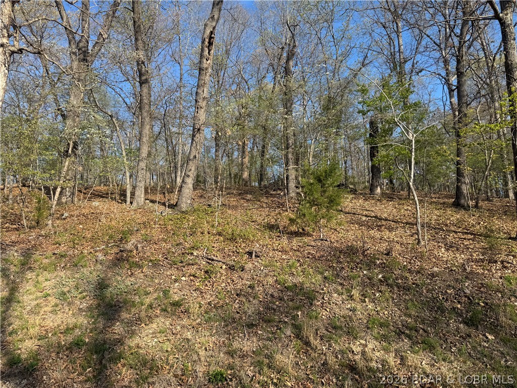 Cornett Cove No. 1 - Land