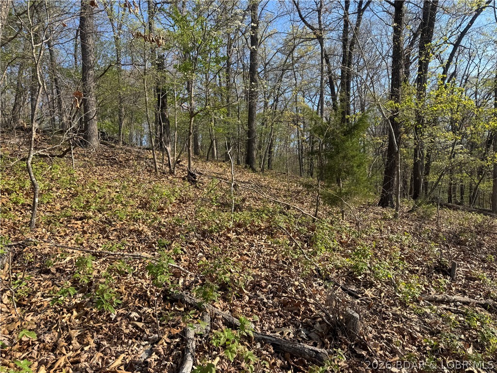 Cornett Cove No. 1 - Land