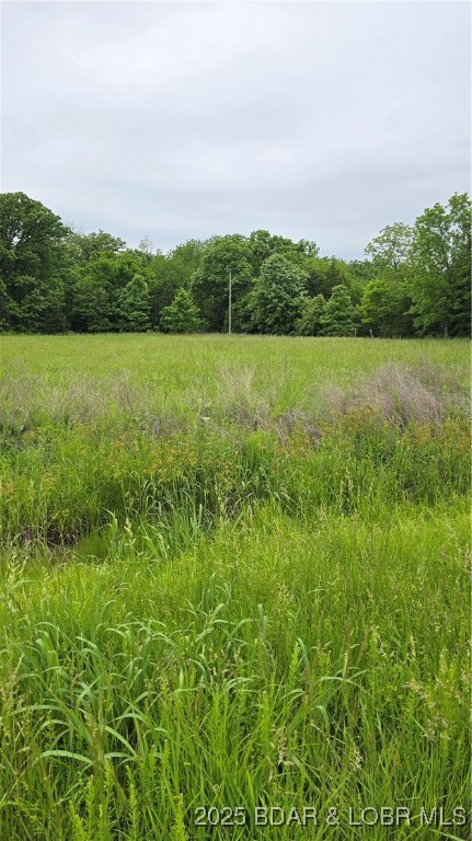 Forbes Lake of the Ozarks - Land