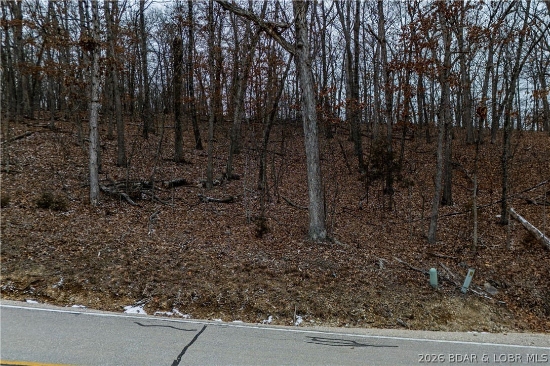 Cornett Cove No. 6 - Land