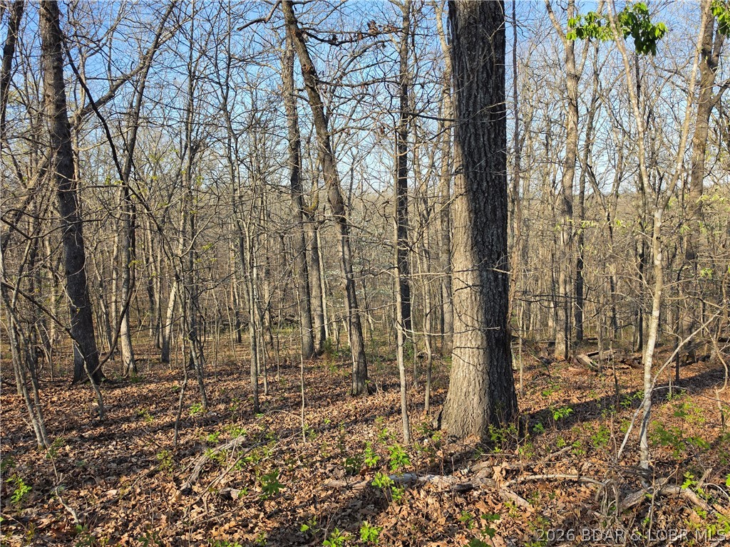 Forbes Lake of the Ozarks - Land