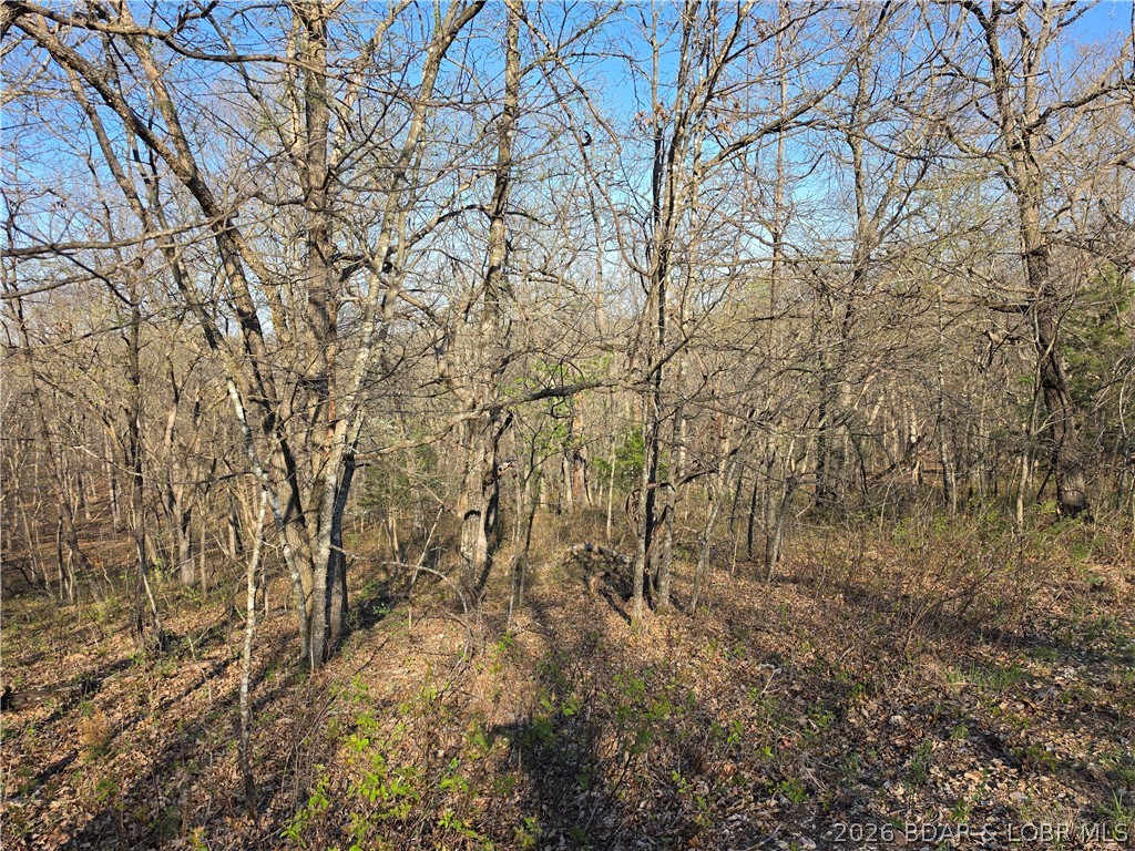Forbes Lake of the Ozarks - Land
