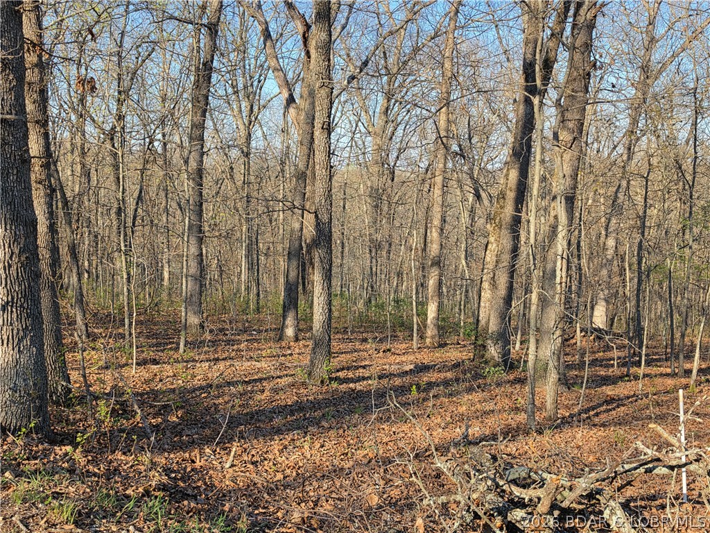 Forbes Lake of the Ozarks - Land
