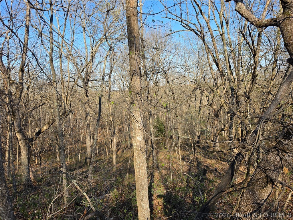 Forbes Lake of the Ozarks - Land