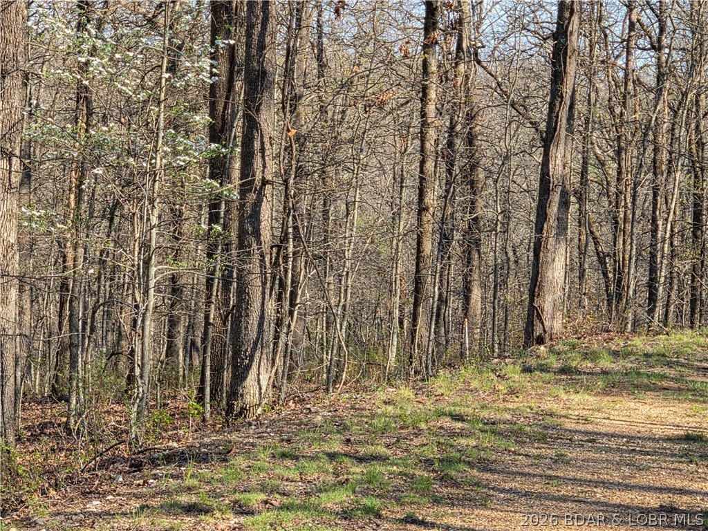 Forbes Lake of the Ozarks - Land