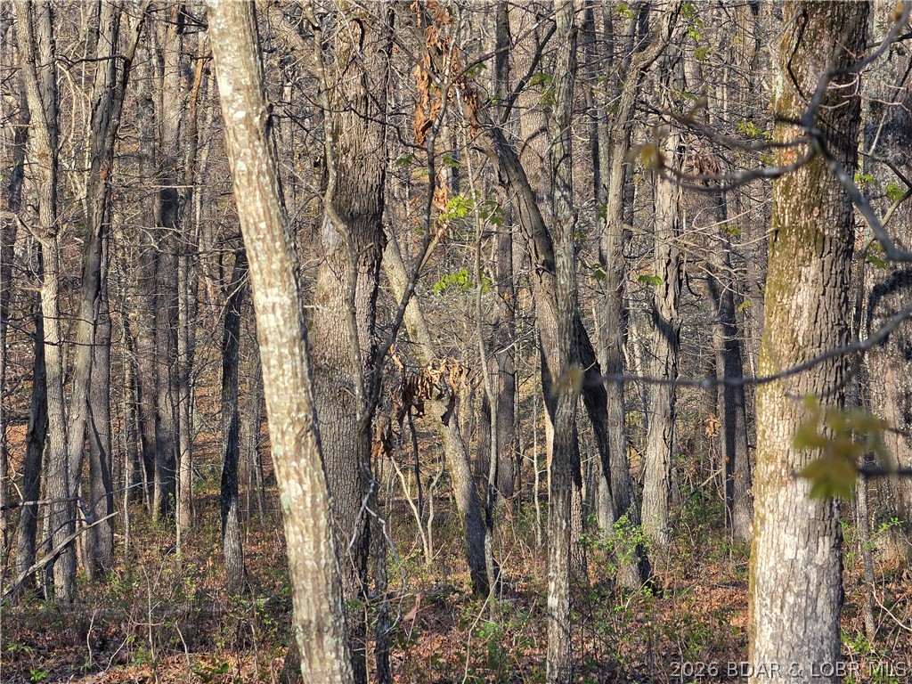 Forbes Lake of the Ozarks - Land