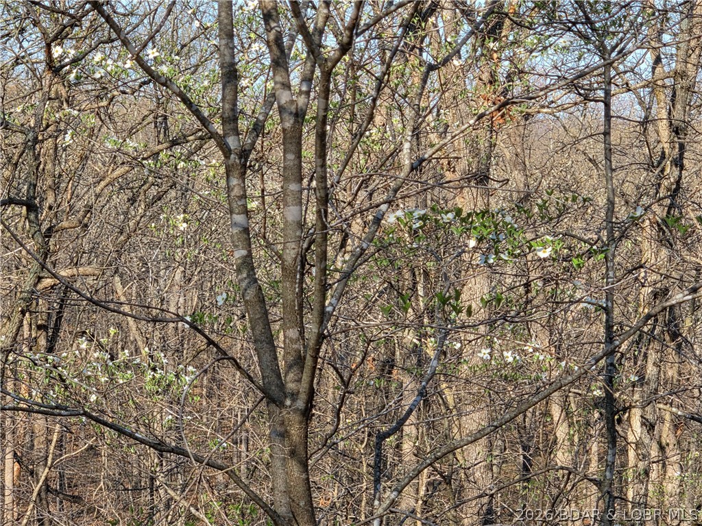Forbes Lake of the Ozarks - Land