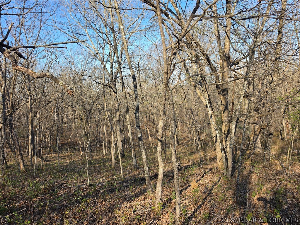 Forbes Lake of the Ozarks - Land