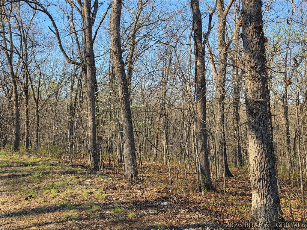 Forbes Lake of the Ozarks - Land