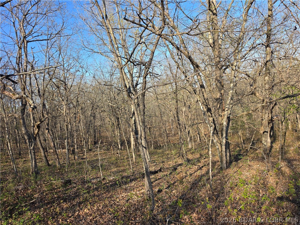 Forbes Lake of the Ozarks - Land