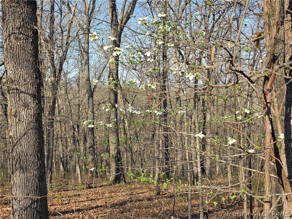Forbes Lake of the Ozarks - Land