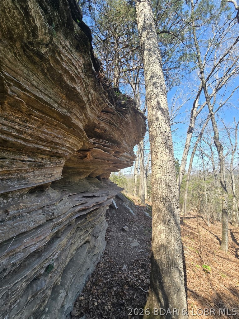 Big Cedar Point - Land