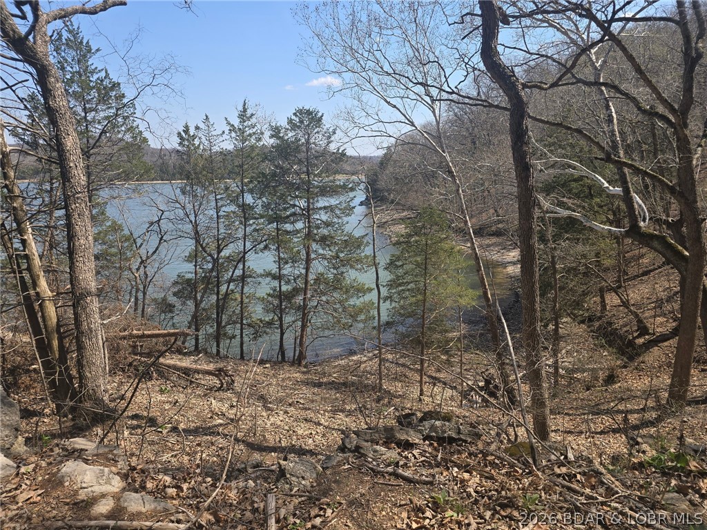 Big Cedar Point - Land