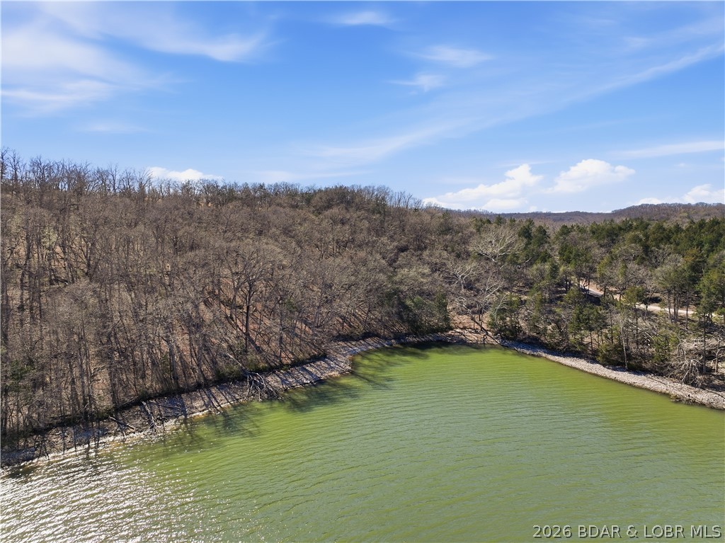 Big Cedar Point - Land