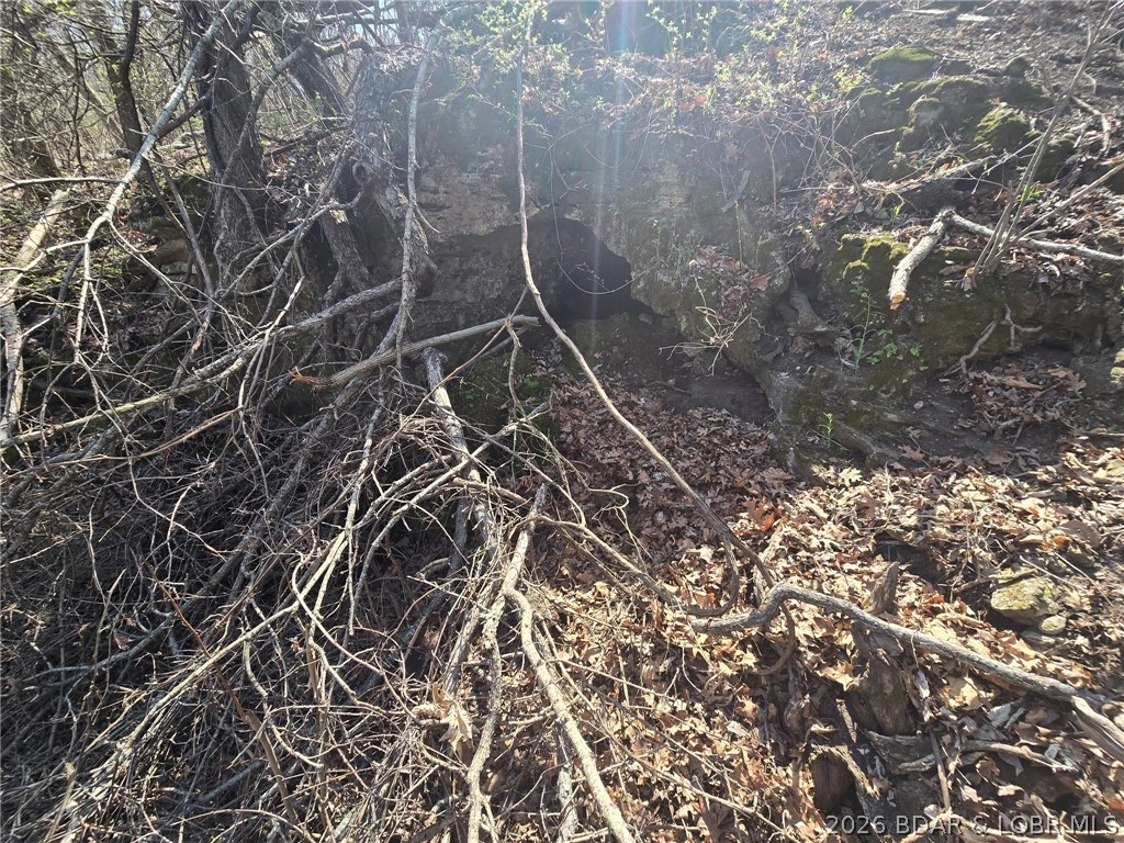 Big Cedar Point - Land