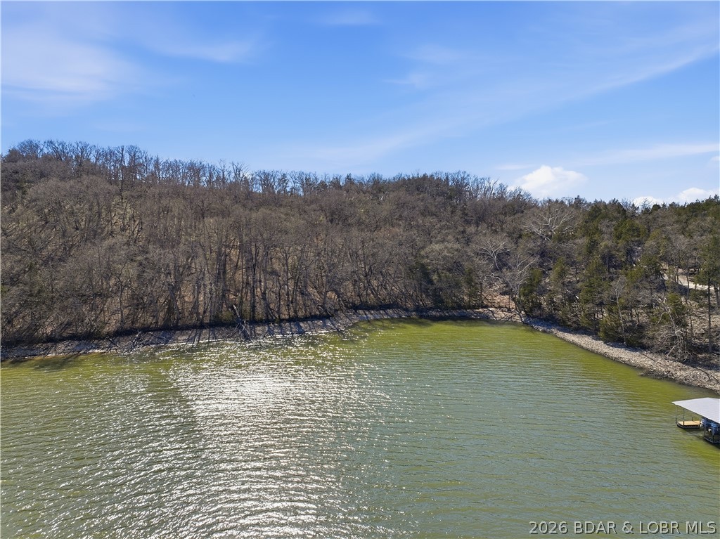 Big Cedar Point - Land