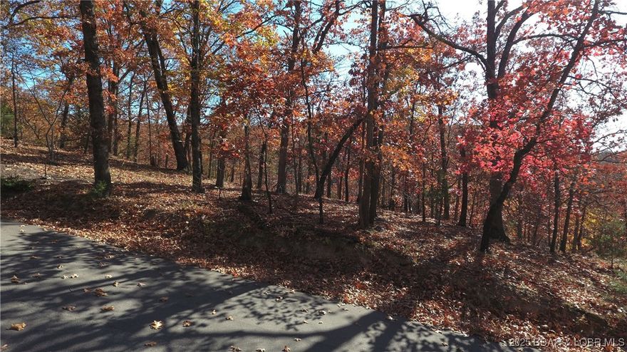 Build your dream getaway or permanent home on this affordable lot in a quiet residential area near the Lake of the Ozarks. Convenient location just minutes from Big Surf and local amenities. Great opportunity to own property with low annual taxes and flexible building options.