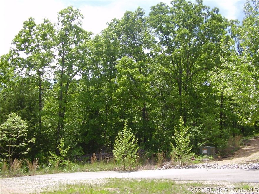 Great Building Lot in nice Subdivision located close to Camdenton Schools and behind the Camdenton Public Library. Only 5 Lots remaining. There is Community Water, Central Septic and Electric hookups. Great location close to Town, Shopping, Restaurants & Medical.  Survey has been done.