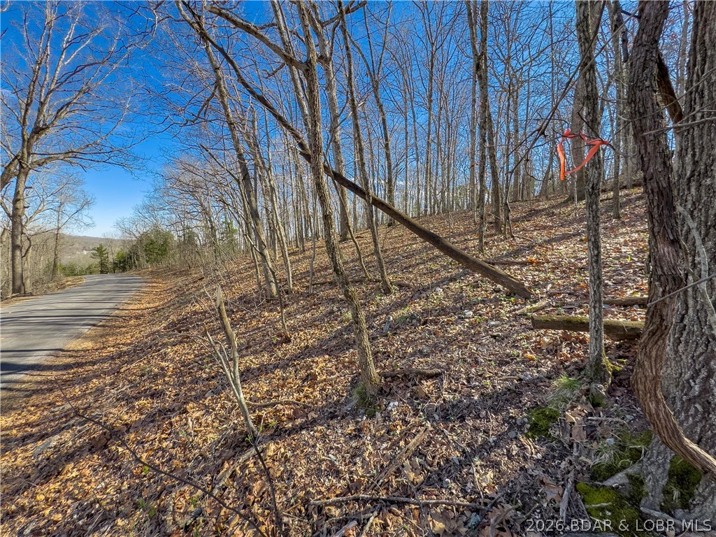 Lake Horizons - Land