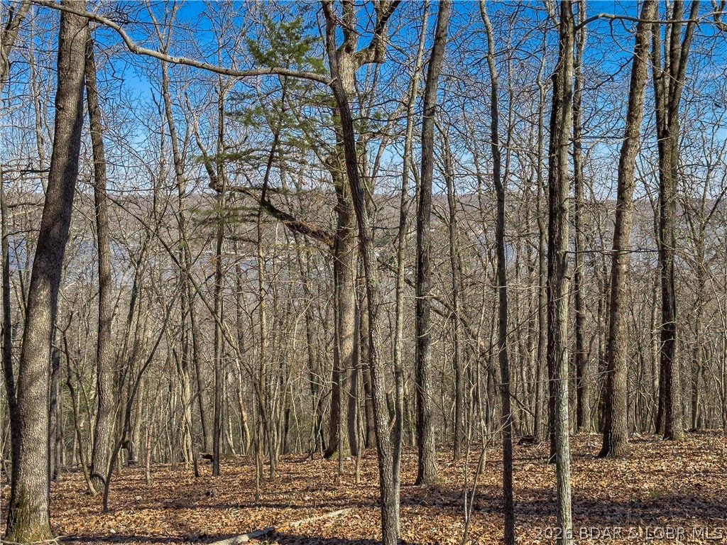 Lake Horizons - Land