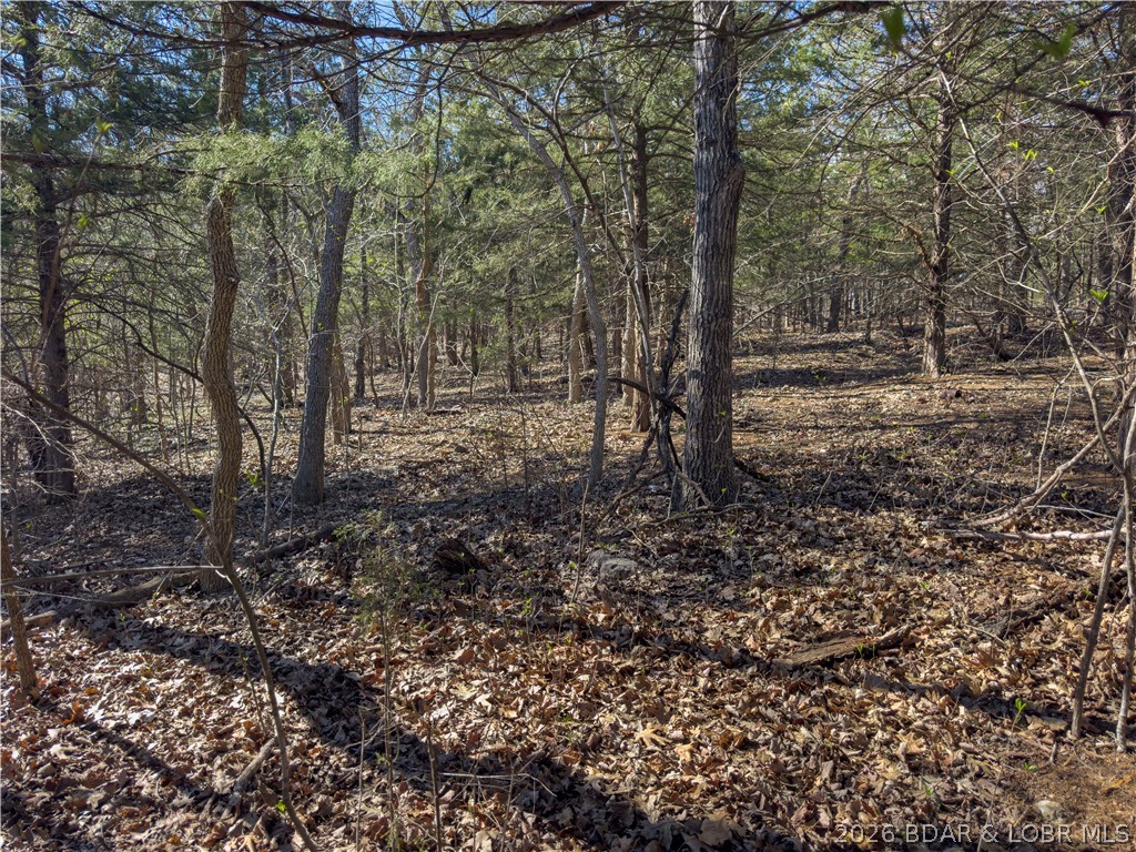 Lake Horizons - Land