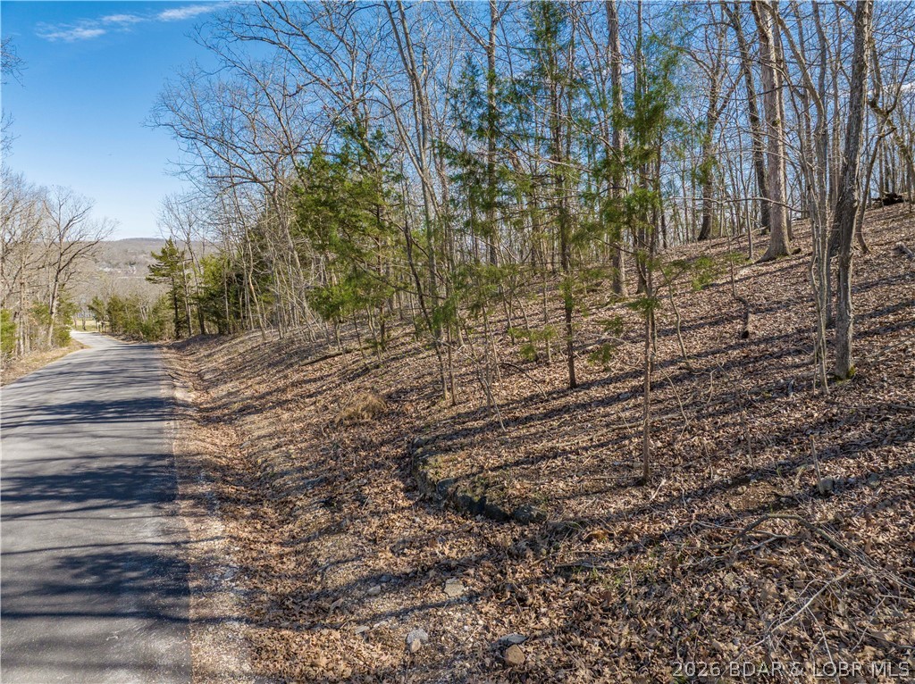 Lake Horizons - Land