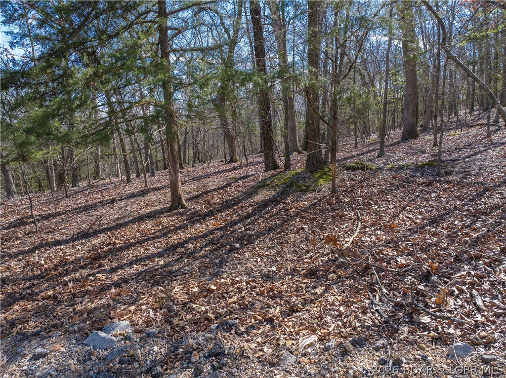 Lake Horizons - Land