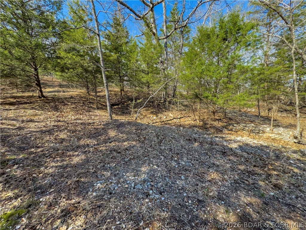 Lake Horizons - Land