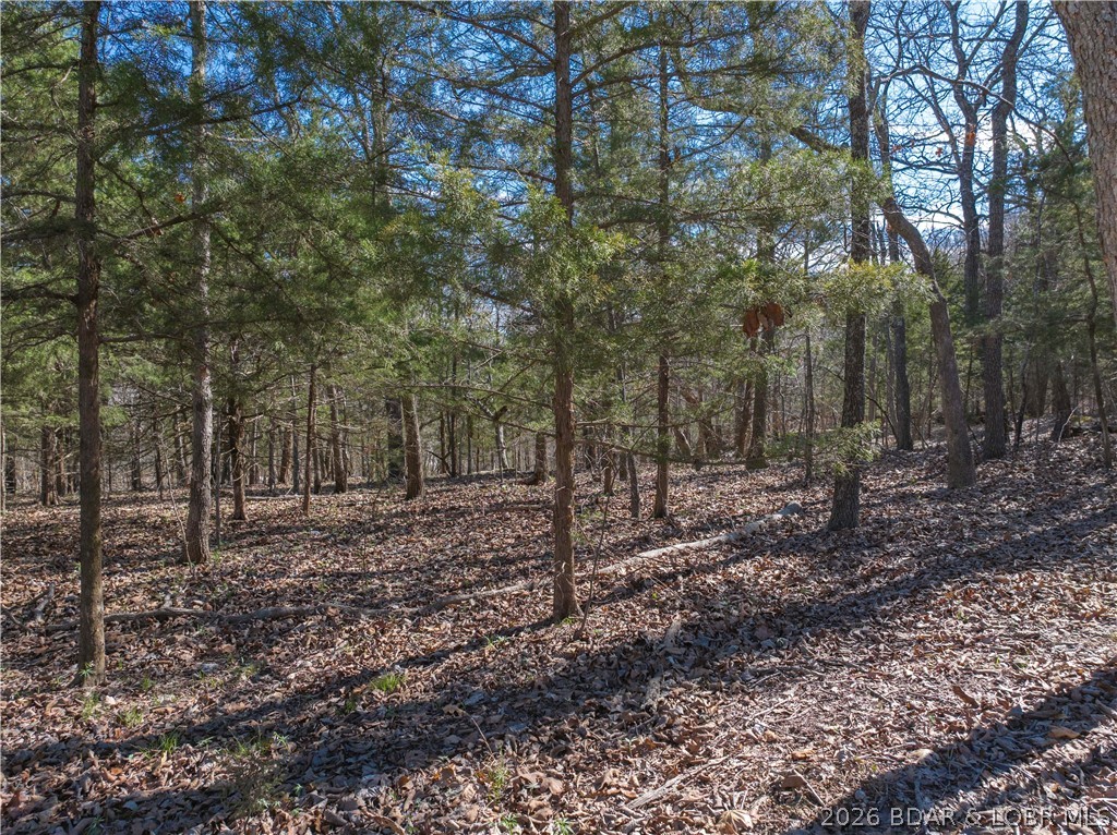 Lake Horizons - Land