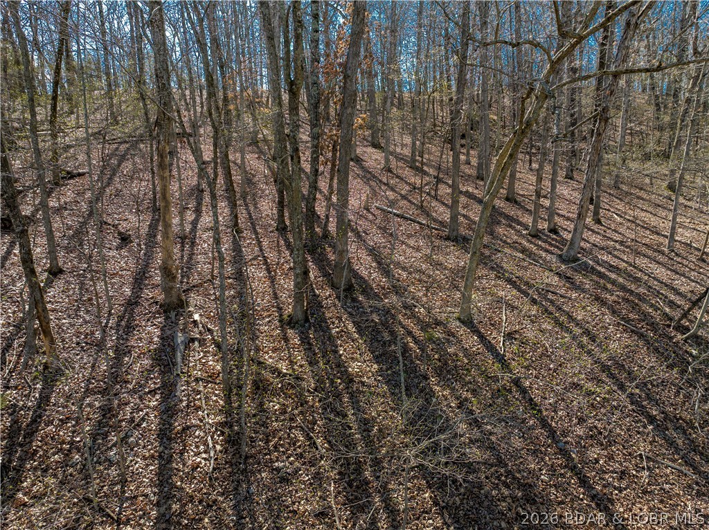 Lake Horizons - Land