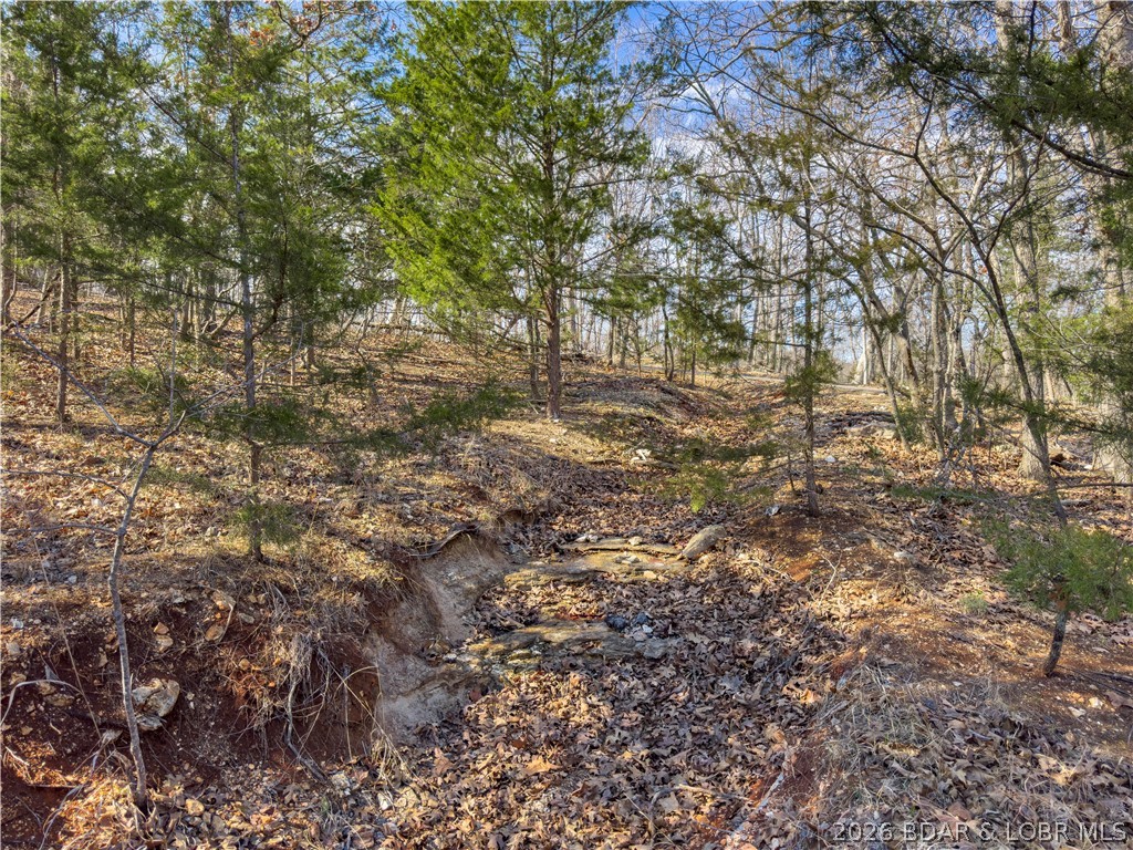 Lake Horizons - Land