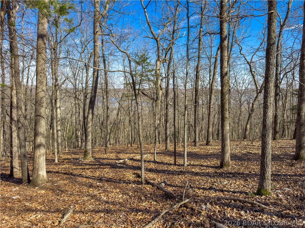 Lake Horizons - Land