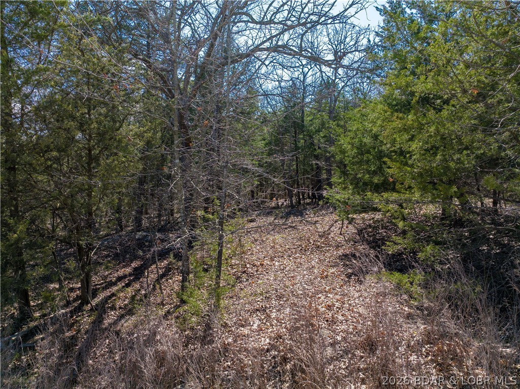 Lake Horizons - Land