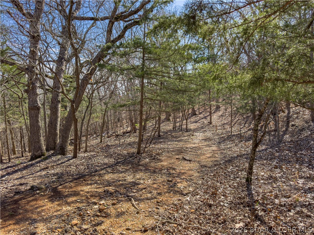 Lake Horizons - Land