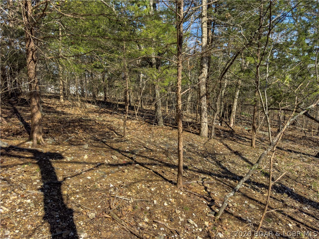 Lake Horizons - Land