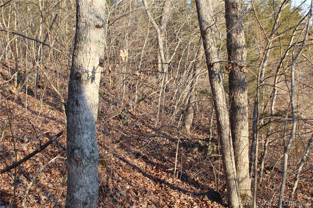 Indian Creek Hills - Land