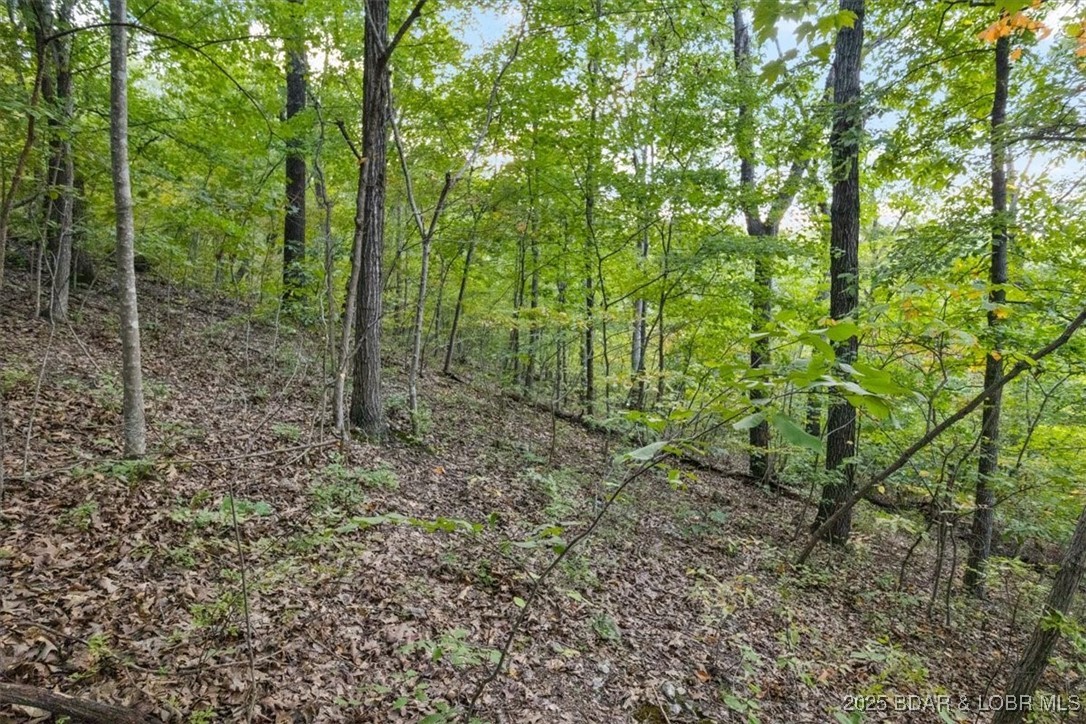 Ryzen Sun Est. - Land