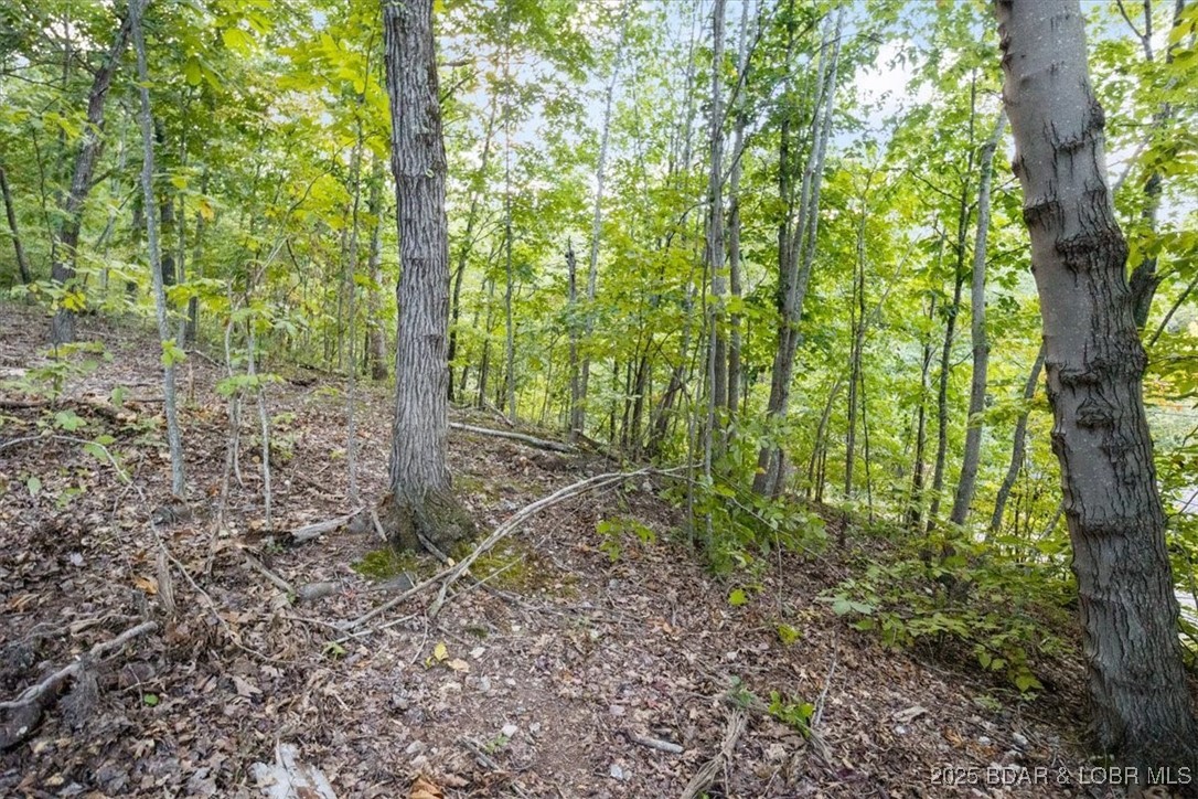 Ryzen Sun Est. - Land