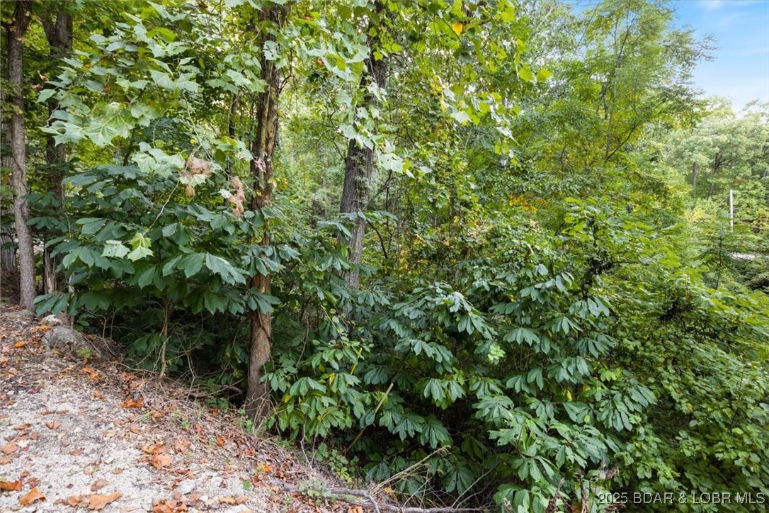 Ryzen Sun Est. - Land