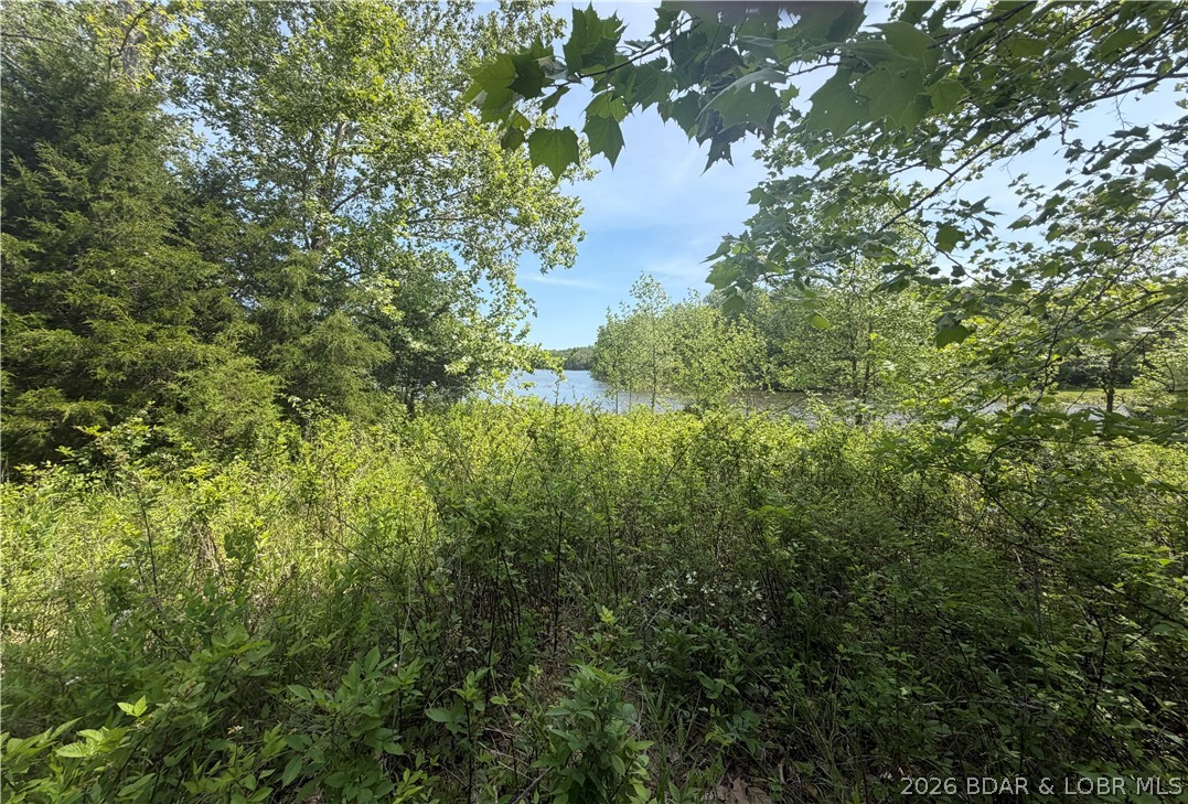 Forbes Lake of the Ozarks - Land