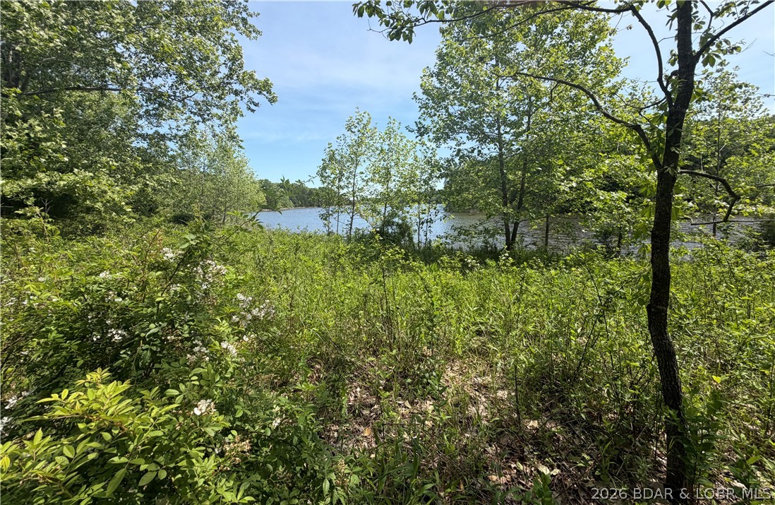 Forbes Lake of the Ozarks - Land