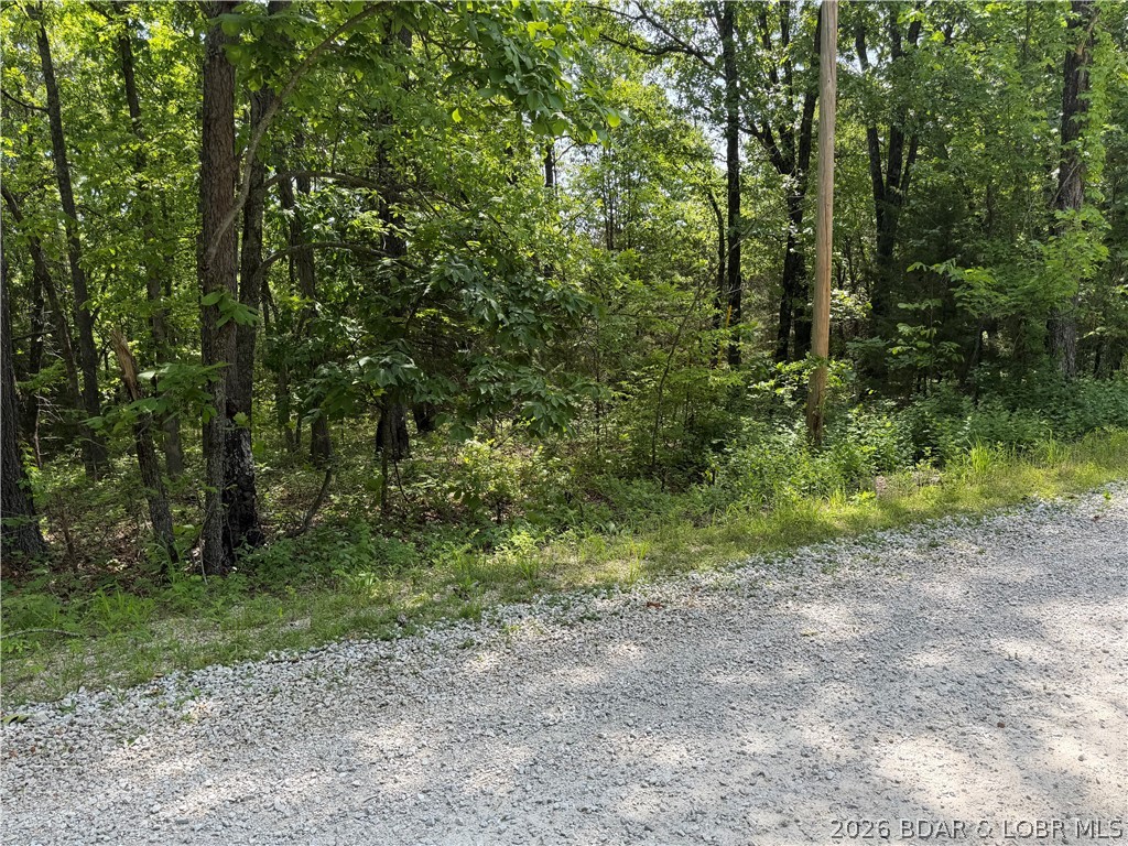 Forbes Lake of the Ozarks - Land