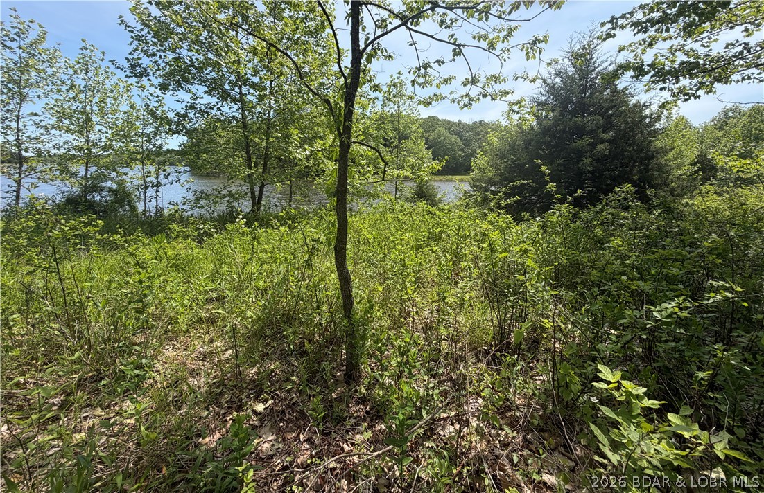 Forbes Lake of the Ozarks - Land